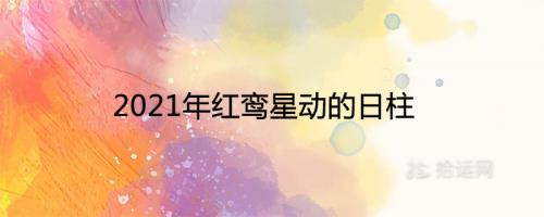 2021年红鸾星动的日柱 会遇到正缘的人是谁