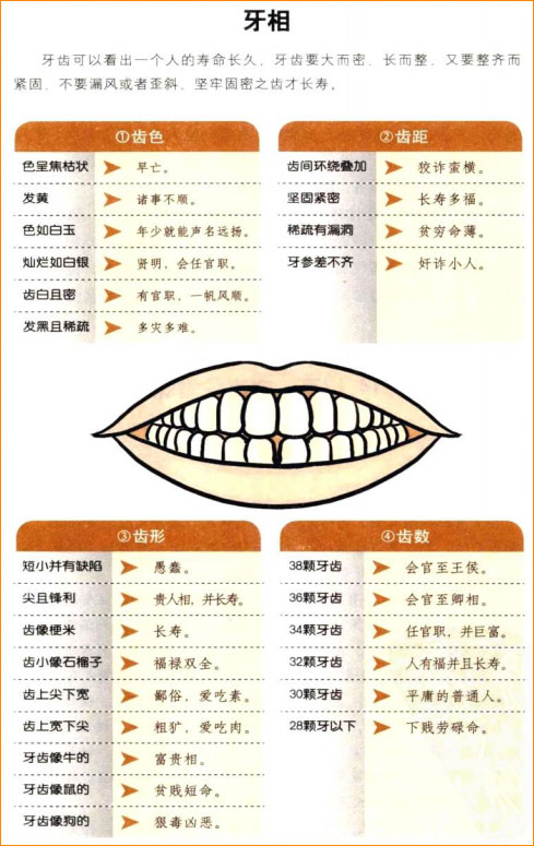 麻衣神相白话详解论齿：齿相的贵贱与命运