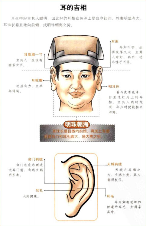 麻衣神相白话详解相耳之耳相的贵贱：宜高耸垂珠